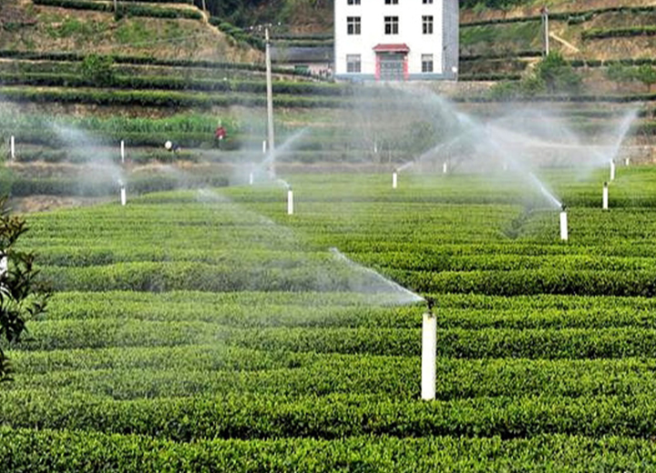 安康 茶園智能噴灌項(xiàng)目