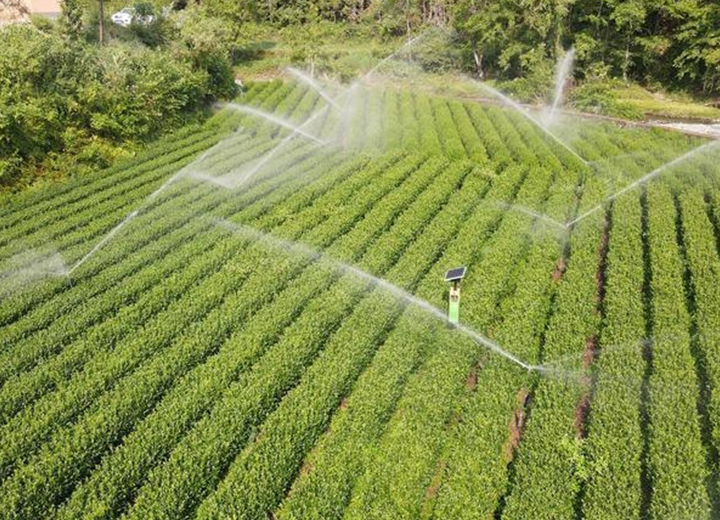 安康 茶園智能噴灌項(xiàng)目